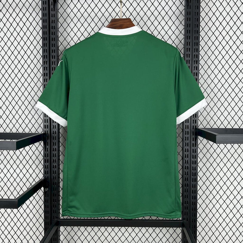 Camisola do Palmeiras 25/26 - Principal - Torcedor