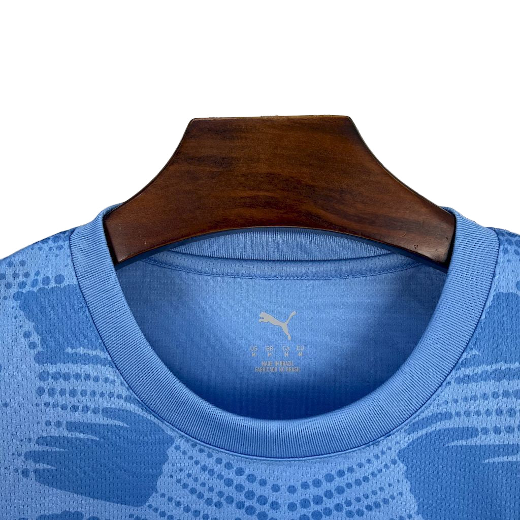 Camisola Palmeiras Goleiro