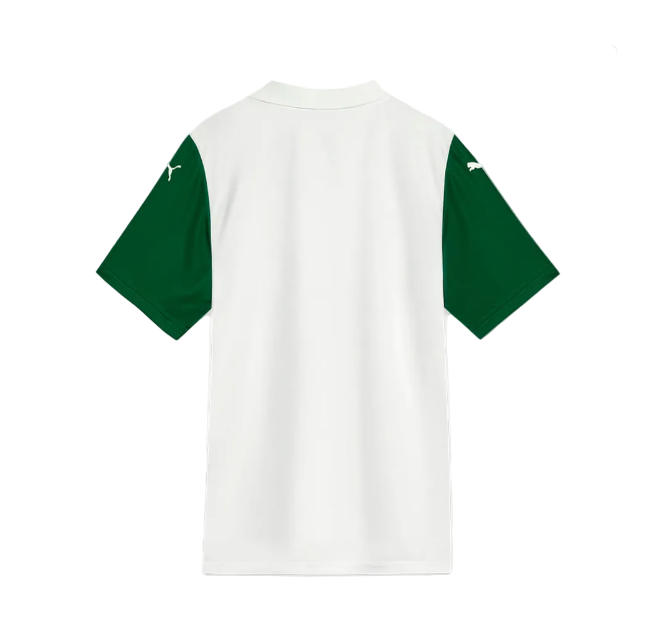 Camisola II Palmeiras 25/26