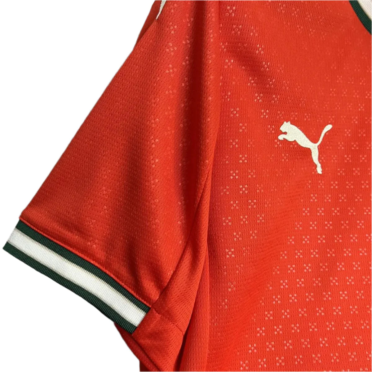 Detalhes da gola e escudo da camisola Portugal vermelha 25/26